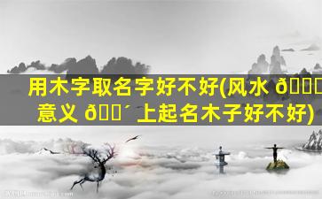 用木字取名字好不好(风水 🐒 意义 🐴 上起名木子好不好)